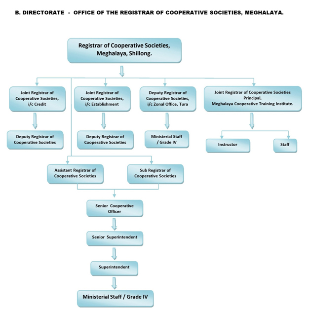 Organisational Chart