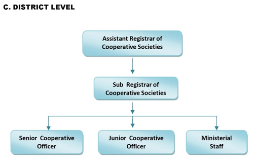 Organisational Chart