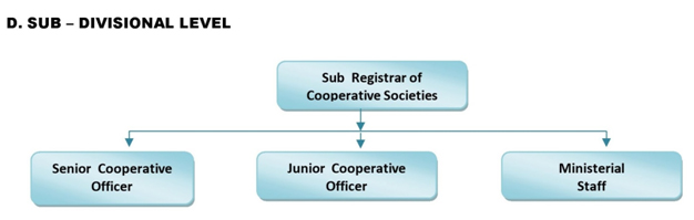 Organisational Chart